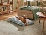 Hundebett von Zoofari für 19,99 € bei Lidl im Angebot Hundebett von Zoofari im aktuellen Lidl Prospekt