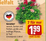 Aktuelles Geranien Angebot bei REWE in Neuss ab 1,99 €