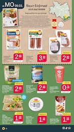 Radeberger Angebot im aktuellen Netto mit dem Scottie Prospekt auf Seite 12