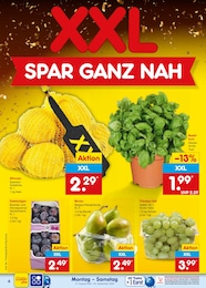 Netto Marken-Discount Kräuter im Prospekt Netto Marken-Discount Kräuter im Prospekt