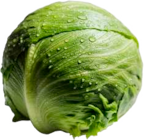 EDEKA - Eisbergsalat Angebot im Prospekt Eisbergsalat bei EDEKA im Prospekt "" für 0,69 €