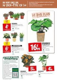 Offre Kalanchoë dans le catalogue Gamm vert du moment à la page 3