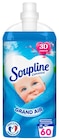 ADOUCISSANT CONCENTRÉ GRAND AIR 60 LAVAGES - SOUPLINE en promo chez Netto ADOUCISSANT CONCENTRÉ GRAND AIR 60 LAVAGES - SOUPLINE dans le catalogue Netto