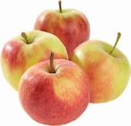 EDEKA Werl Prospekt mit  im Angebot für 2,49 €