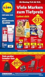 Aktueller Lidl Discounter Prospekt in Eisenhüttenstadt und Umgebung, "LIDL LOHNT SICH" mit 71 Seiten, 11.08.2025 - 16.08.2025