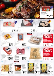 Wurst im Selgros Prospekt "HIER KAUFEN PROFIS & GENIESSER" mit 28 Seiten (Wolfsburg)