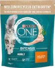 ONE Katzentrockenfutter von Purina für 3,49 € bei Globus-Baumarkt im Angebot ONE Katzentrockenfutter von Purina im aktuellen Globus-Baumarkt Prospekt