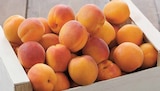 Intermarché Villeneuve-lès-Béziers - Promo Abricot Promo Abricot à 2,49 € dans le catalogue Intermarché à Villeneuve-lès-Béziers