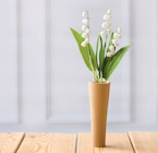 Muguet 3 brins + 1 feuille à Super U dans Puteaux