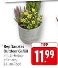 Bepflanztes Outdoor Gefäß im Angebot bei E center in Bruchsal Bepflanztes Outdoor Gefäß Angebote bei E center Bruchsal für 11,99 €