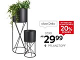 Aktuelle Blumentopf Angebote bei XXXLutz in Essen Aktuelles Pflanztopf Angebot bei XXXLutz in Essen ab 29,99 €