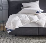 Aktuelle Bettdecke Angebote bei Sconto SB in Paderborn Aktuelles 3-Kammer-Kopfkissen Norwegen Angebot bei Sconto SB in Paderborn ab 39,99 €