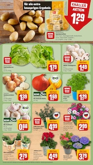 Salat im REWE Prospekt "Dein Markt" mit 24 Seiten (Frankfurt (Main))