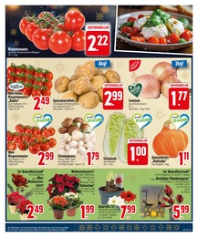 EDEKA Pflanzen im Prospekt EDEKA Pflanzen im Prospekt