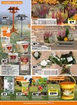 Blumenerde Blumenerde