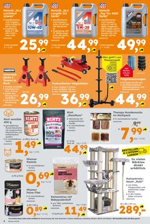 Wagenheber im aktuellen Globus-Baumarkt Prospekt (Oldenburg) Wagenheber im Globus-Baumarkt Prospekt "Immer eine Idee besser" mit 10 Seiten (Oldenburg)
