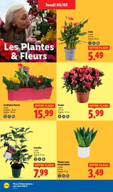 Jardinière Angebote im Prospekt "Ça vaut le coup." von Lidl Jardinière Angebote im Prospekt "Ça vaut le coup." von Lidl auf Seite 30