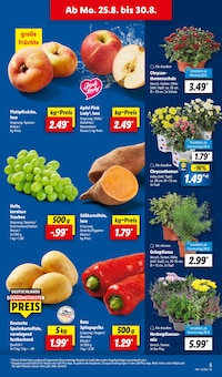 Blumen im Lidl Prospekt "LIDL LOHNT SICH" mit 68 Seiten (Nürnberg)