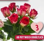 Rosen im aktuellen Prospekt bei E center in Kottweiler-Schwanden