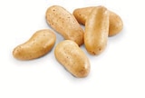 Aktuelles Speisefrühkartoffeln Angebot bei METRO in Hamm