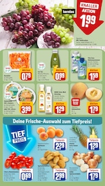Salat im REWE Prospekt in Köln Aktueller REWE Prospekt mit Salat, "Dein Markt", Seite 8