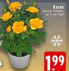 Rosen bei EDEKA im Ruppichteroth Prospekt für 1,99 €
