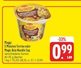 5 Minuten Terrine Angebote von Maggi bei E center Erlangen für 0,99 €