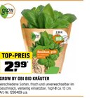 Bio Kräuter Angebote von Grow by Obi bei OBI Baden-Baden für 2,99 €