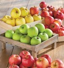 Intermarché Contact Plélan-le-Petit - Promo Pomme Golden Délicious Promo Pomme Golden Délicious à 1,49 € dans le catalogue Intermarché Contact à Plélan-le-Petit