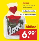 Eisrose bei Netto Marken-Discount im Lübstorf Prospekt für 6,99 €