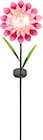 Thomas Philipps - Solar-Blumenstecker Angebot im Prospekt Solar-Blumenstecker bei Thomas Philipps im Prospekt "" für 12,99 €