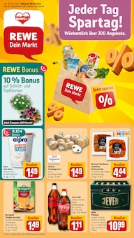 REWE Prospekt Dein Markt mit 34 Seiten