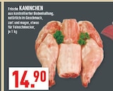 Frische Kaninchen bei Marktkauf im Delbrück Prospekt für 14,90 €