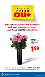 Prix et réduction Roses dans le prospectus Lidl en cours Offre Roses dans le catalogue Lidl du moment à la page 38