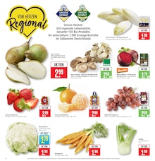 Marktkauf Notzingen Prospekt der aktuellen Woche, gültig von 02.03.2026 bis 07.03.2026 Aktueller Marktkauf Notzingen Prospekt "Aktuelle Angebote" mit 46 Seiten