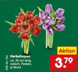 Aktuelles Herbsttulpen Angebot bei Netto Marken-Discount in Frankfurt (Main) ab 3,79 €