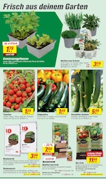 Aktueller toom Baumarkt Prospekt mit Blumenerde, "Respekt, wer's selber macht.", Seite 4