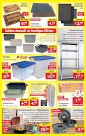 Aktueller Zimmermann Prospekt mit Pfanne, "Aktuelle Angebote", Seite 8