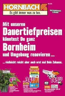 Hornbach Prospekt Endlich Frühling mit  Seiten in Flemlingen und Umgebung