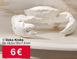 Aktuelles Deko-Krebs Angebot bei Woolworth in Aachen ab 6,00 €