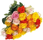 Rosen Angebote bei REWE Castrop-Rauxel für 3,79 €