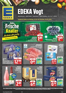 Aktueller EDEKA Prospekt (Schefflenz) EDEKA Prospekt mit 28 Seiten (Schefflenz)