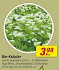 Aktuelles Bio-Kräuter Angebot bei toom Baumarkt in Mannheim ab 3,99 €