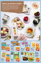 Forelle im REWE Prospekt in Erkelenz Aktueller REWE Prospekt mit Forelle, "Dein Markt", Seite 12