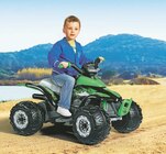 QUAD CORRAL T-REX 330W 12 V VERT | 3 ans - PEGPEREGO en promo chez JouéClub Montpellier à 239,99 €