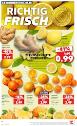 Satsuma Angebot & Preis im aktuellen Kaufland Prospekt Satsuma Angebot im aktuellen Kaufland Prospekt auf Seite 42