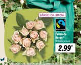 Aktuelles Fairtrade-Rosen Angebot bei Lidl in Bremerhaven ab 2,99 €