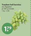 Trauben hell kernlos im V-Markt Prospekt Trauben hell kernlos von im aktuellen V-Markt Prospekt für 1,79 €