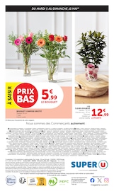 Plantes en promo dans le catalogue Super U à la page 18