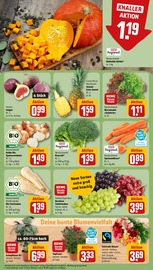 Garten im REWE Prospekt in Karlsruhe Aktueller REWE Prospekt mit Garten, "Dein Markt", Seite 11